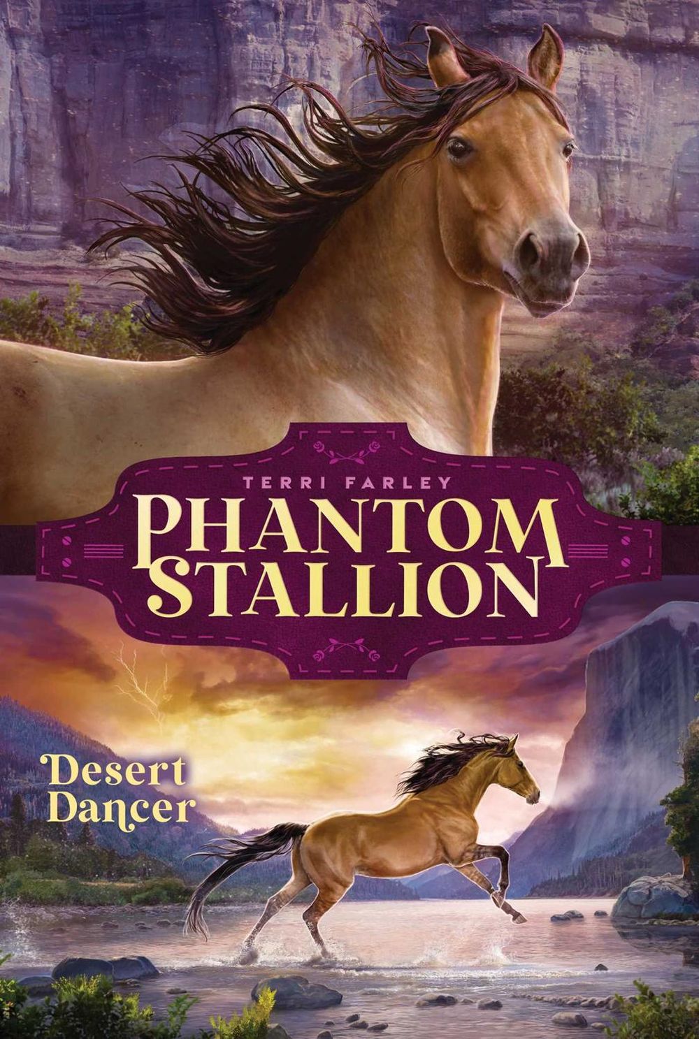 Desert Dancer by Terri Farley - ISBN: 9781665916493