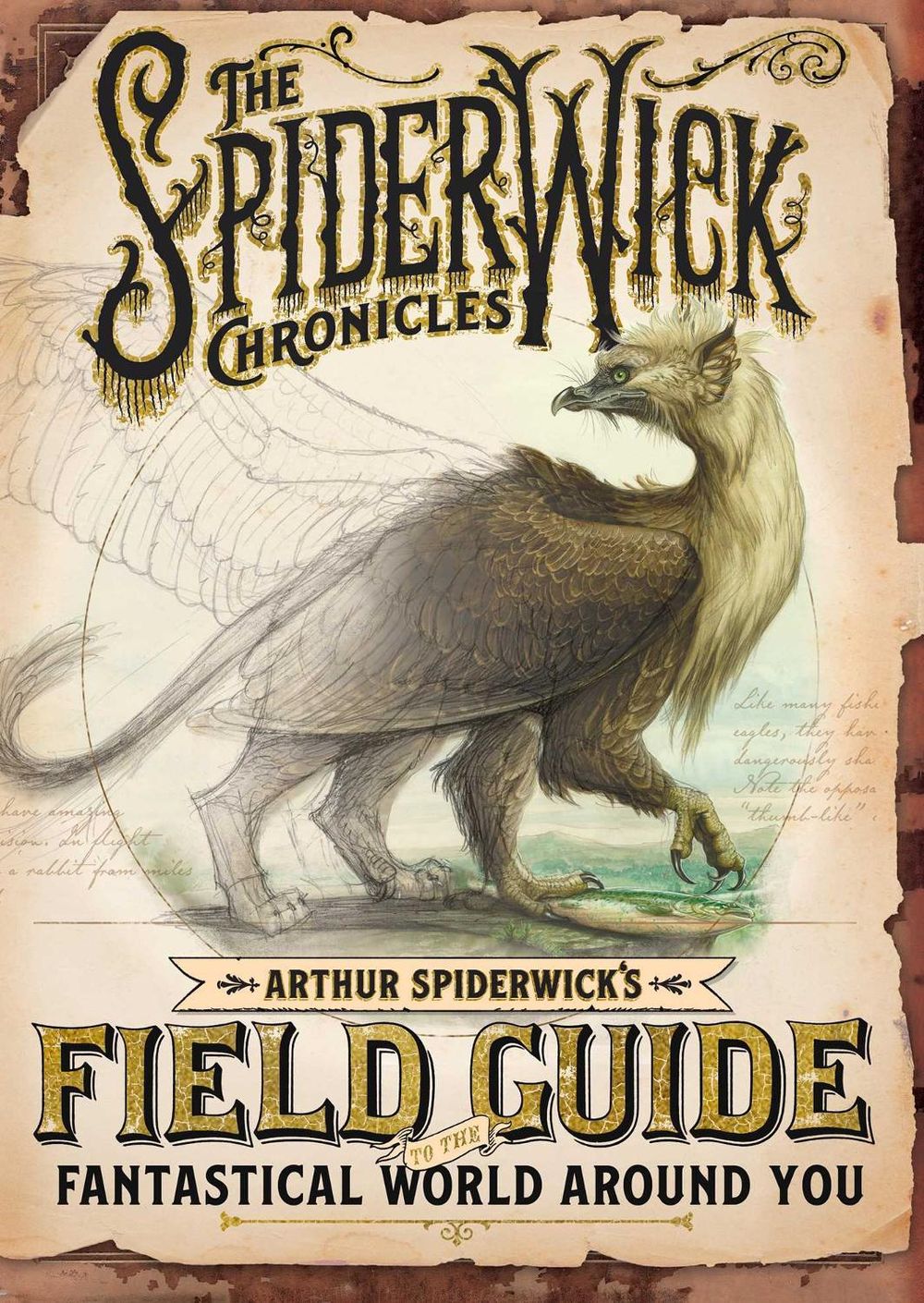 Arthur Spiderwick's Field Guide to the Fantastical World Around You by Holly Black - ISBN: 9781665928779