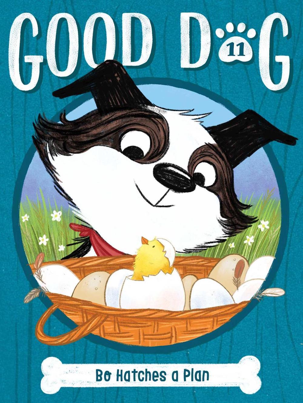 Bo Hatches a Plan by Cam Higgins - ISBN: 9781665930765