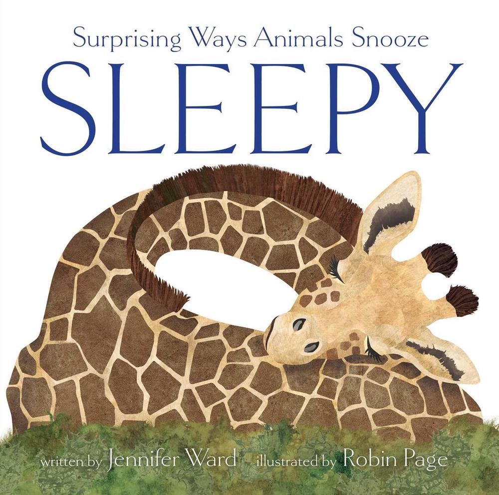 Sleepy by Jennifer Ward - ISBN: 9781665935104