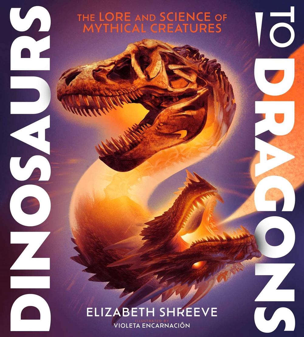 Dinosaurs to Dragons by Elizabeth Shreeve - ISBN: 9781665941006