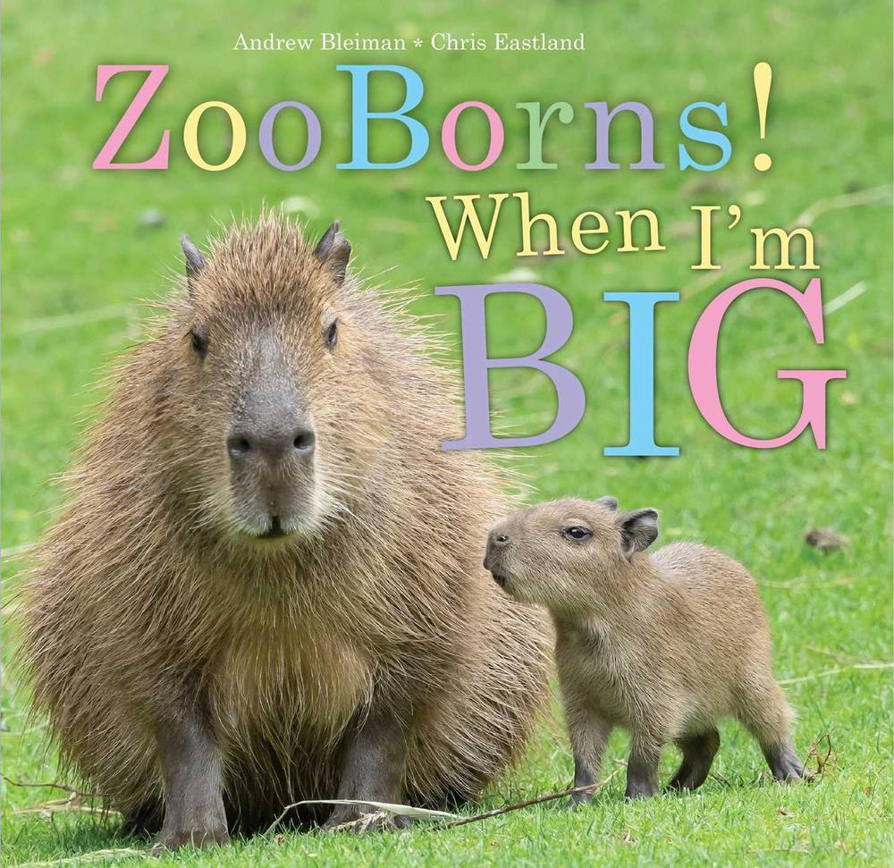 ZooBorns! When I'm Big, 9781665956000