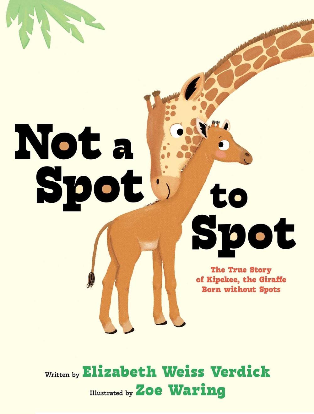 Not a Spot to Spot by Elizabeth Weiss Verdick - ISBN: 9781665962025