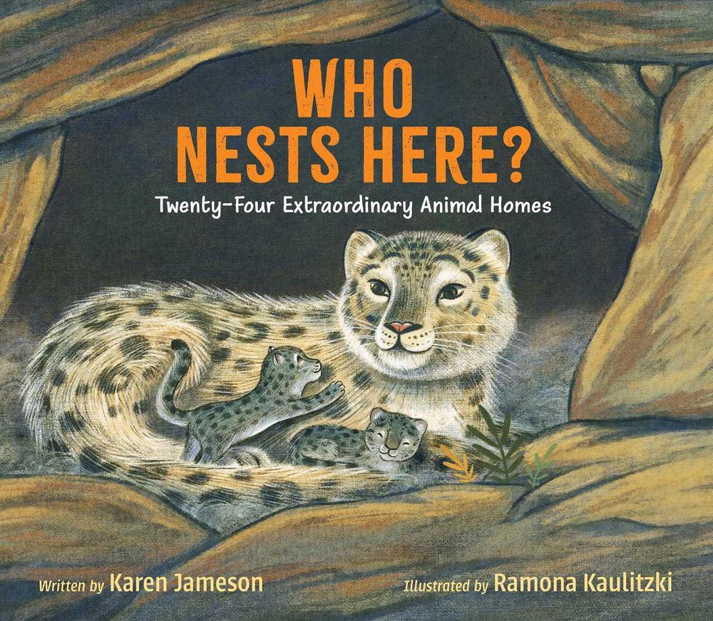 Who Nests Here? by Karen Jameson - ISBN: 9781665975407