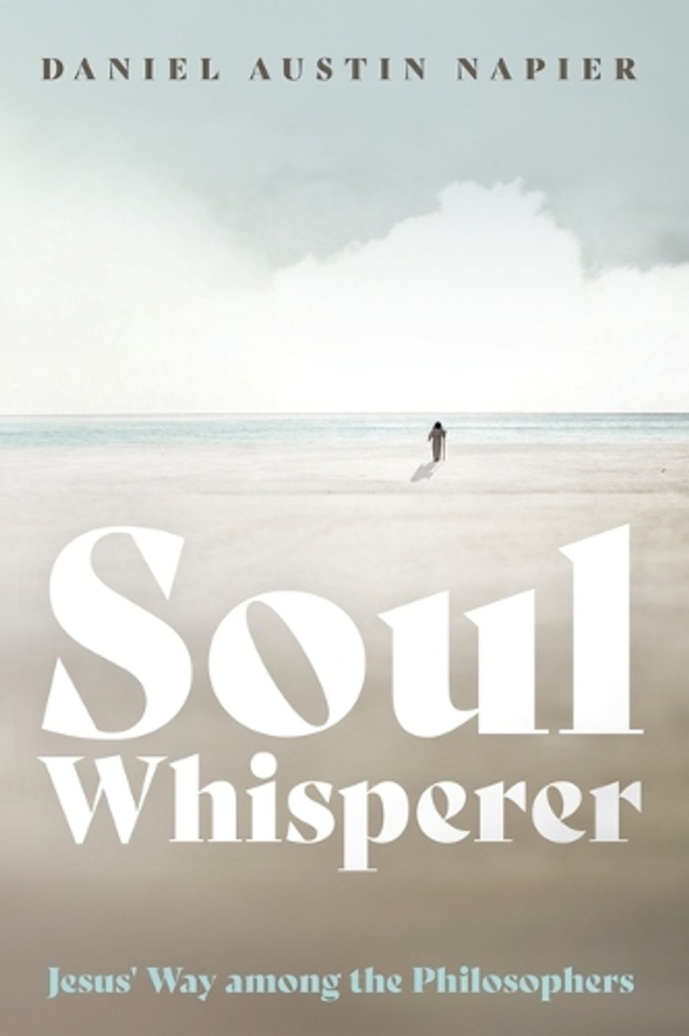 Soul Whisperer by Daniel Austin Napier - ISBN: 9781666768350