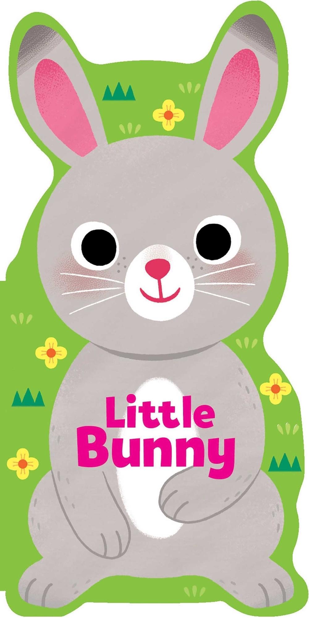 Little Bunny by Maggie Fischer - ISBN: 9781667206110
