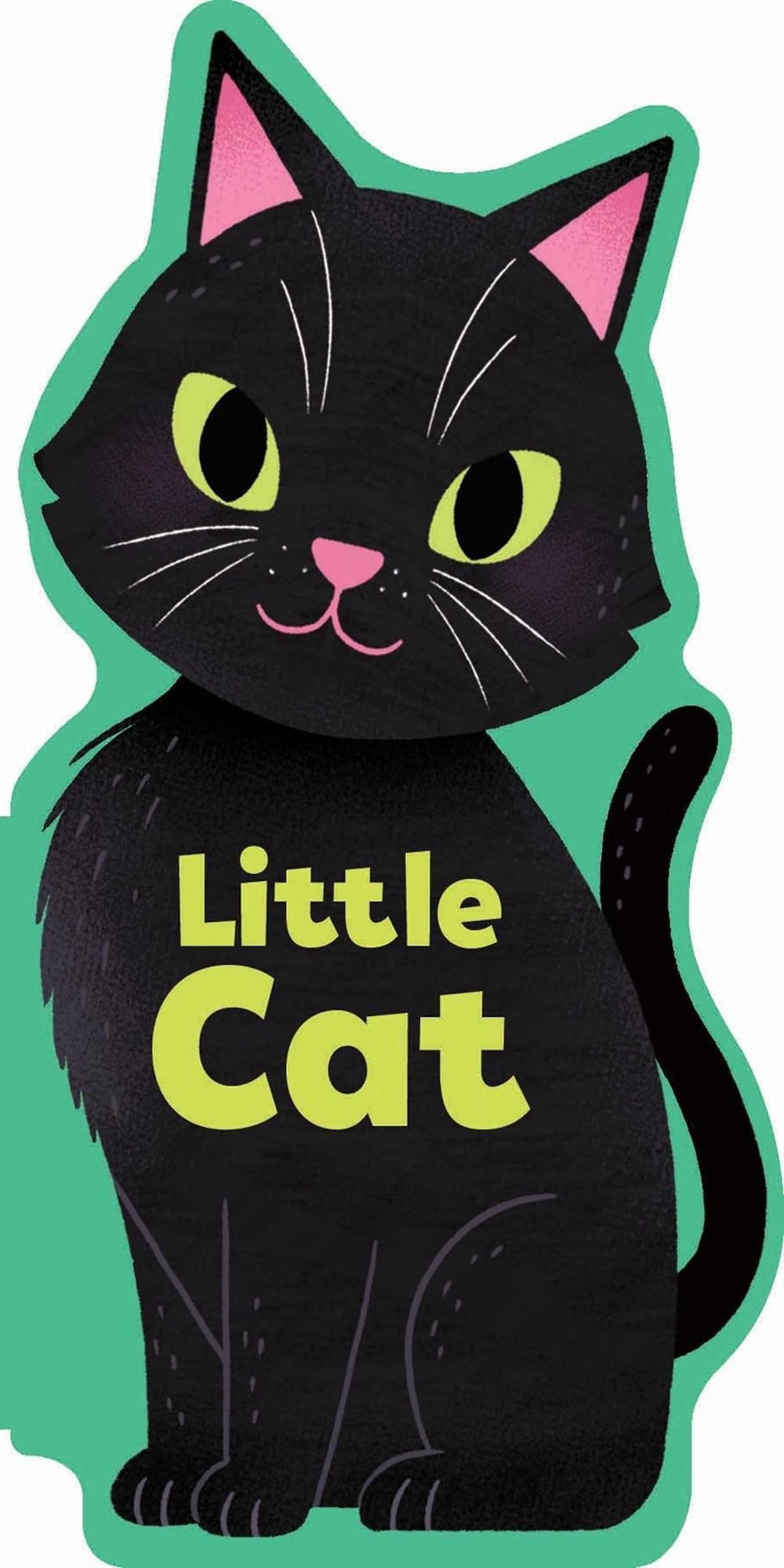 Little Cat by Maggie Fischer - ISBN: 9781667206509