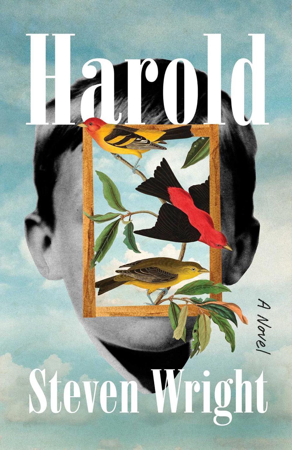 Harold by Steven Wright - ISBN: 9781668022696