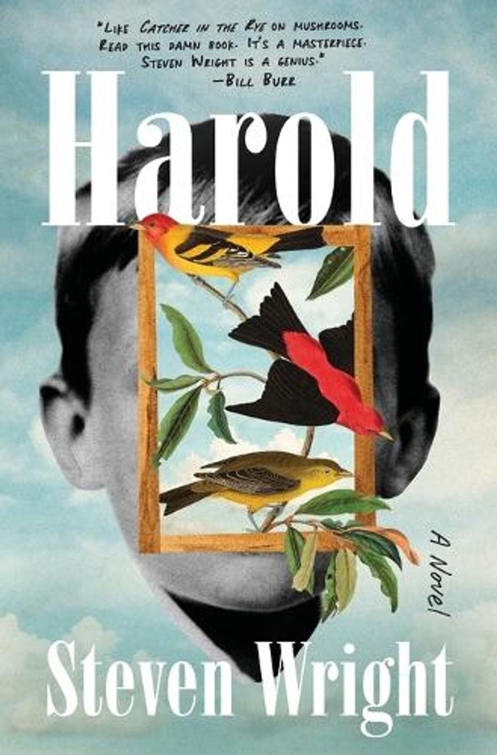 Harold by Steven Wright - ISBN: 9781668022702