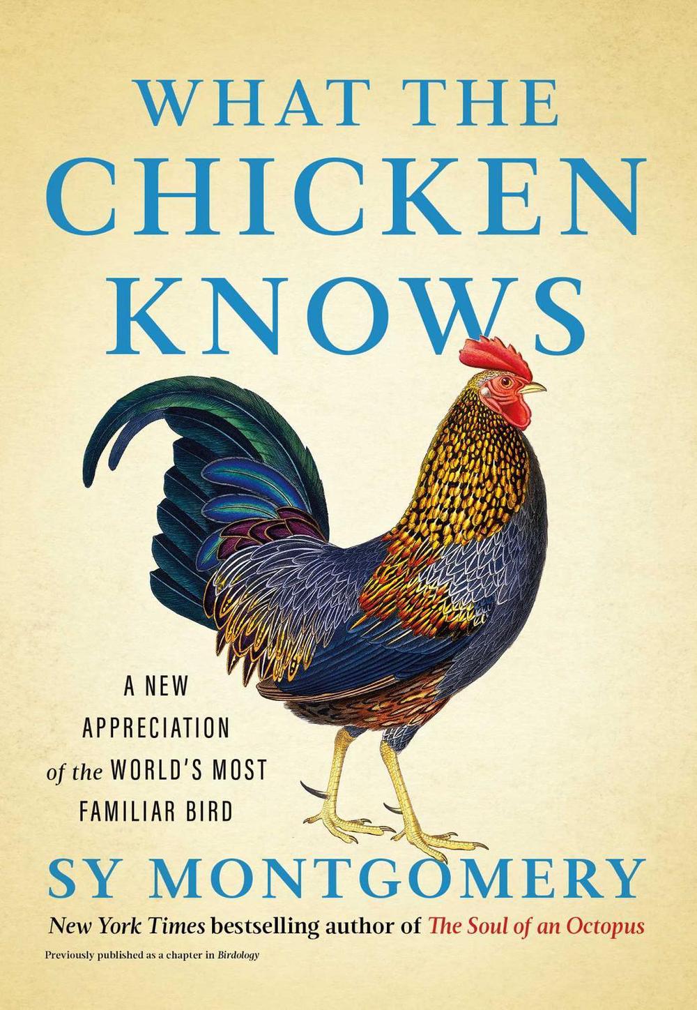 What the Chicken Knows, 9781668047361