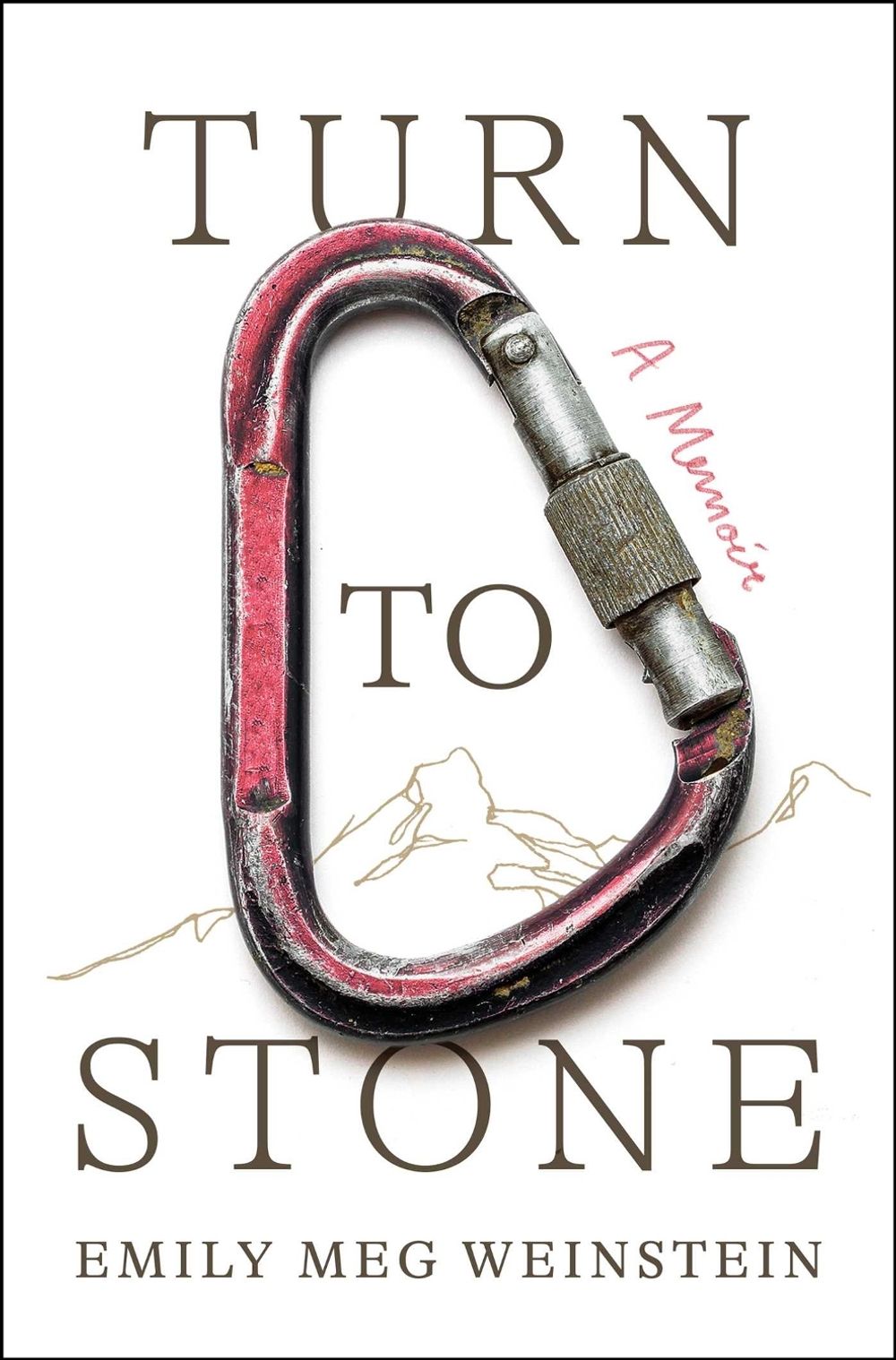Turn to Stone by Emily Meg Weinstein - ISBN: 9781668047866