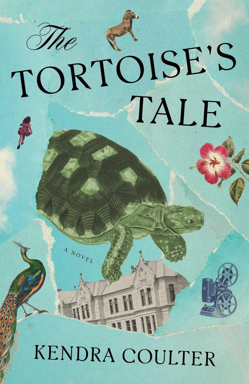 The Tortoise's Tale by Kendra Coulter - ISBN: 9781668068625