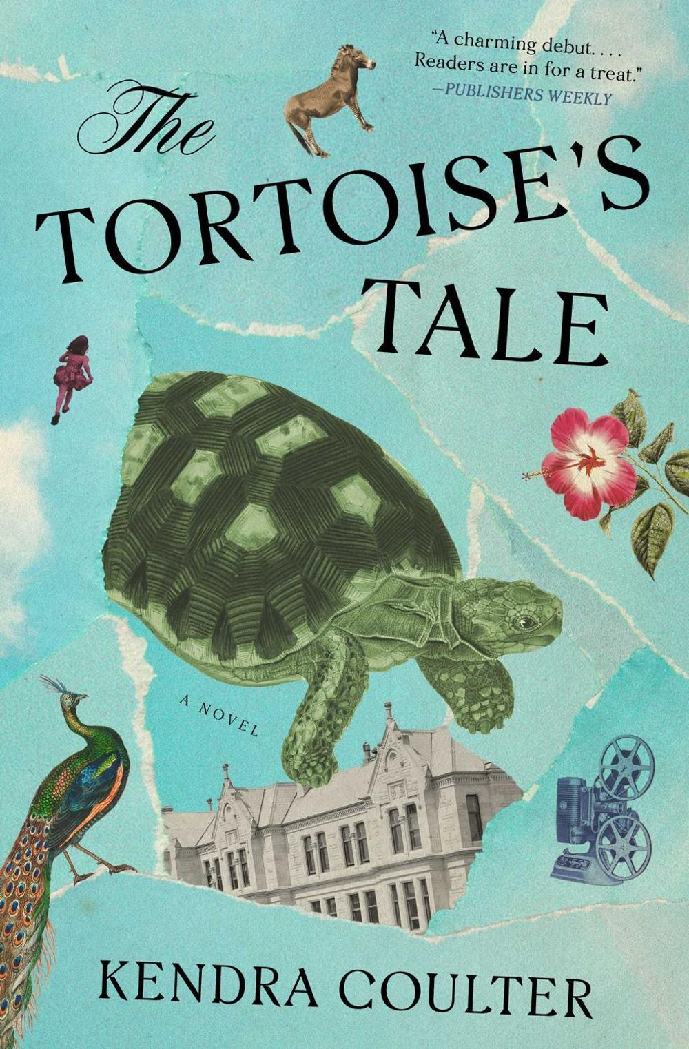 The Tortoise's Tale by Kendra Coulter - ISBN: 9781668068632
