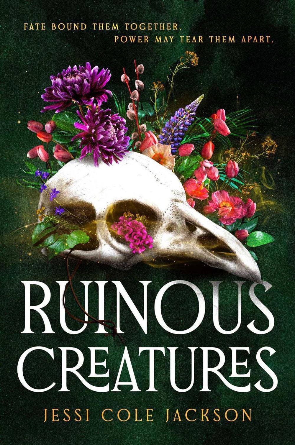 Ruinous Creatures by Jessi Cole Jackson - ISBN: 9781668092897