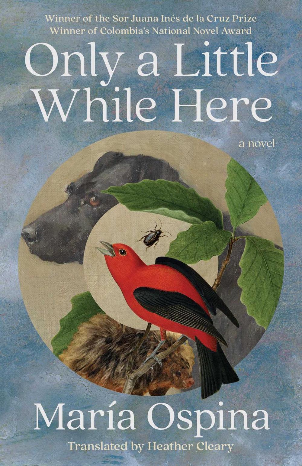 Only a Little While Here by María Ospina - ISBN: 9781668097083