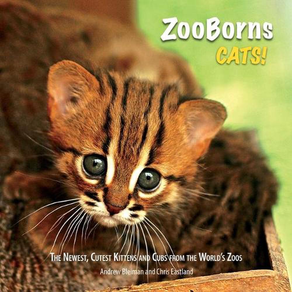 ZooBorns Cats!, 9781668207390