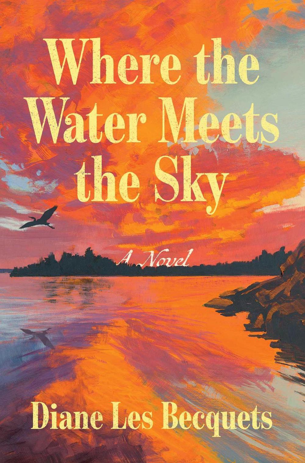 Where the Water Meets the Sky by Diane Les Becquets - ISBN: 9781668221891