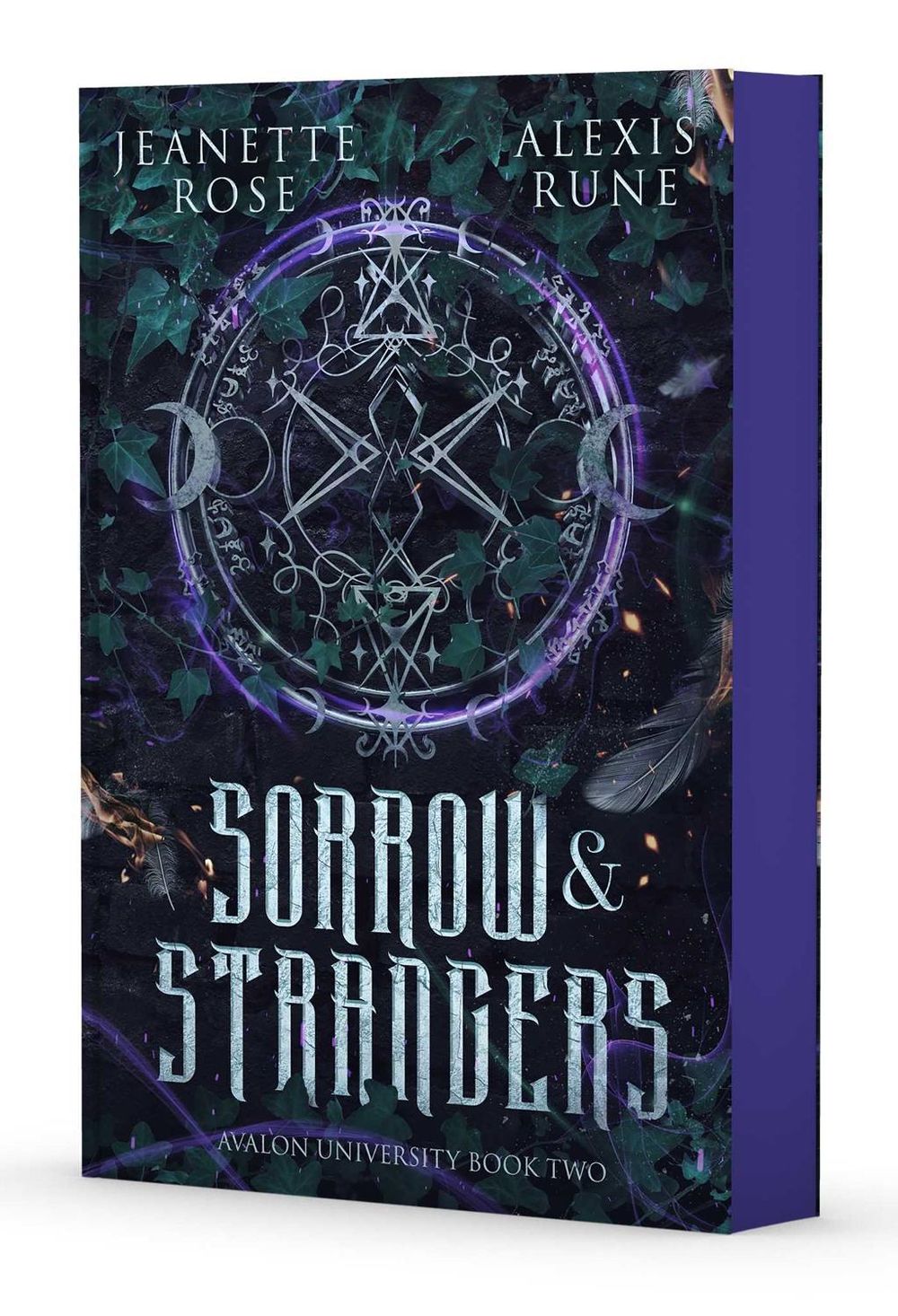Sorrow & Strangers by Jeanette Rose - ISBN: 9781668230404