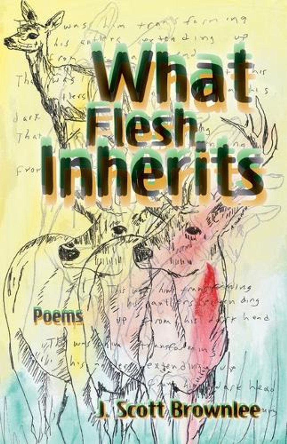 What Flesh Inherits, Volume 14 by J. Scott Brownlee - ISBN: 9781680034738