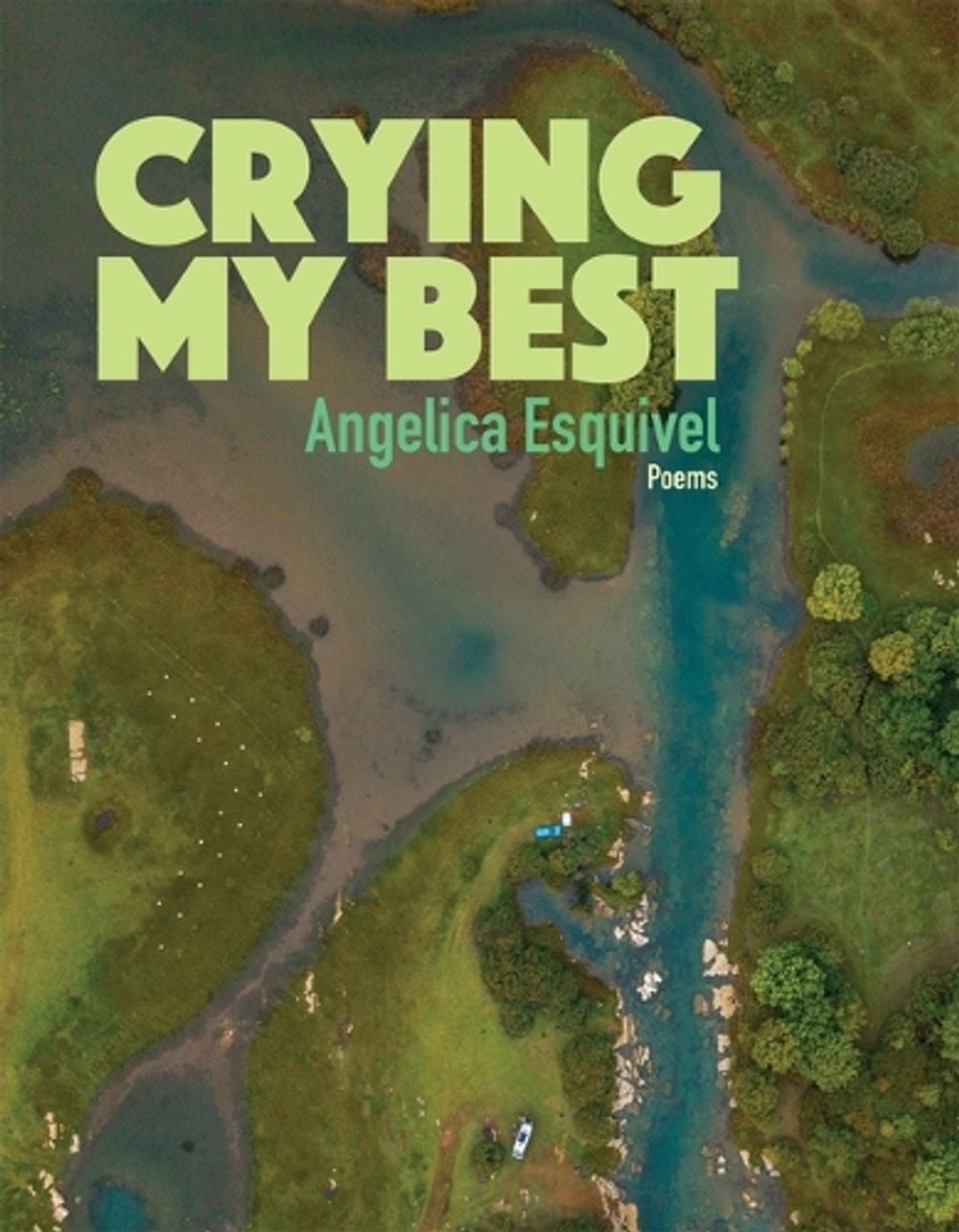 Crying My Best, Volume 2 by Angelica Esquivel - ISBN: 9781680034912