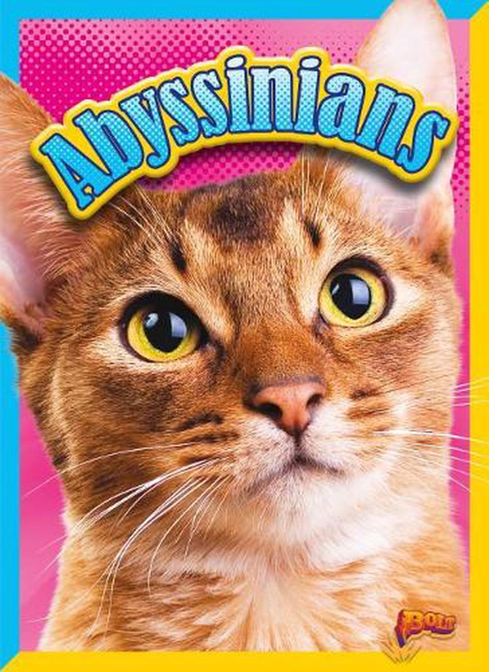 Abyssnians Abyssinians by Nicki Clausen-Grace, Hardcover, 9781680727975 | Buy ...