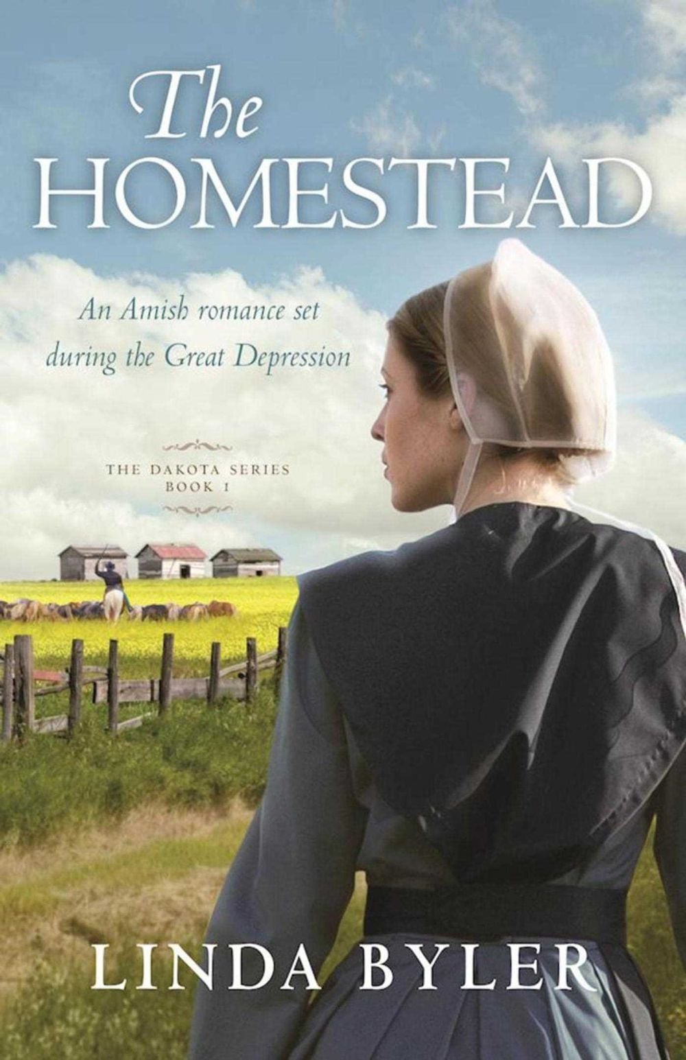 The Homestead by Linda Byler, Paperback, 9781680992137 | Buy online at ...