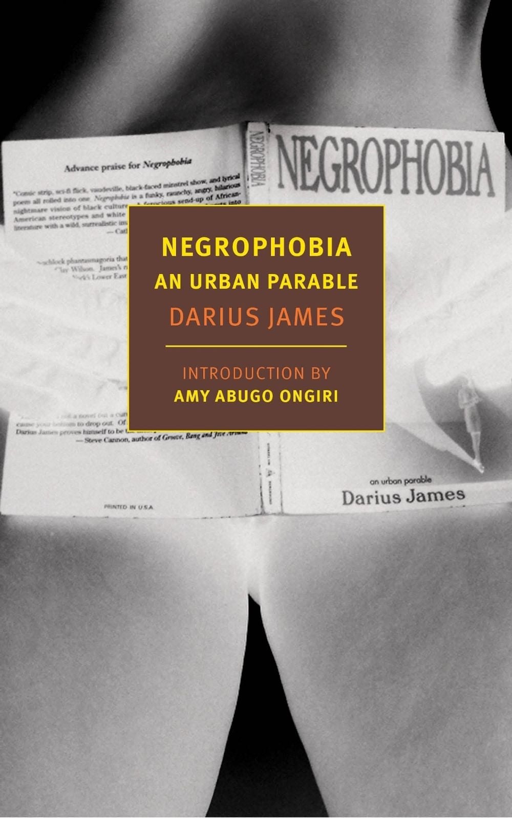 Negrophobia by Amy Abugo Ongiri - ISBN: 9781681373294