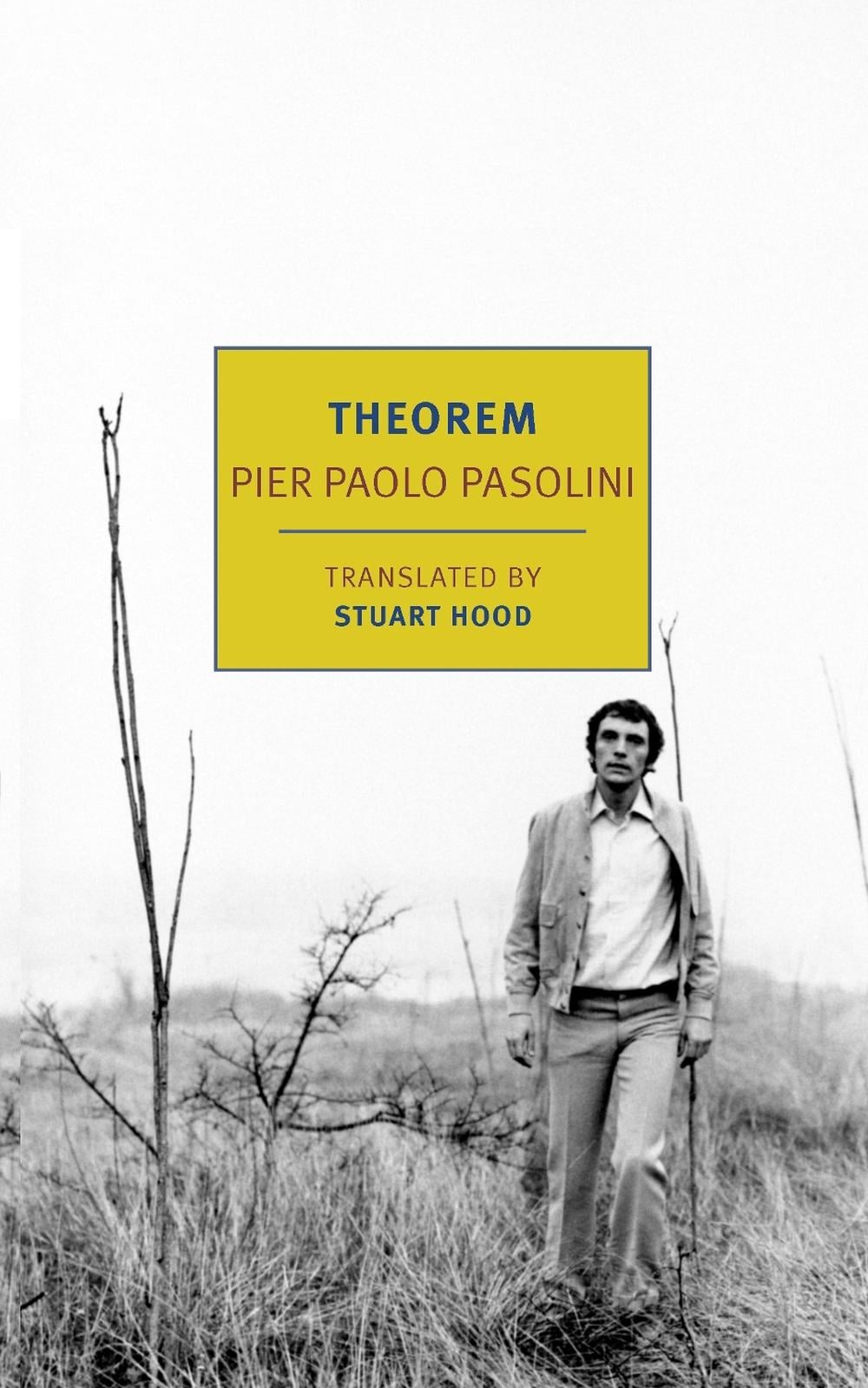 Theorem by Pier Paolo Pasolini - ISBN: 9781681377643