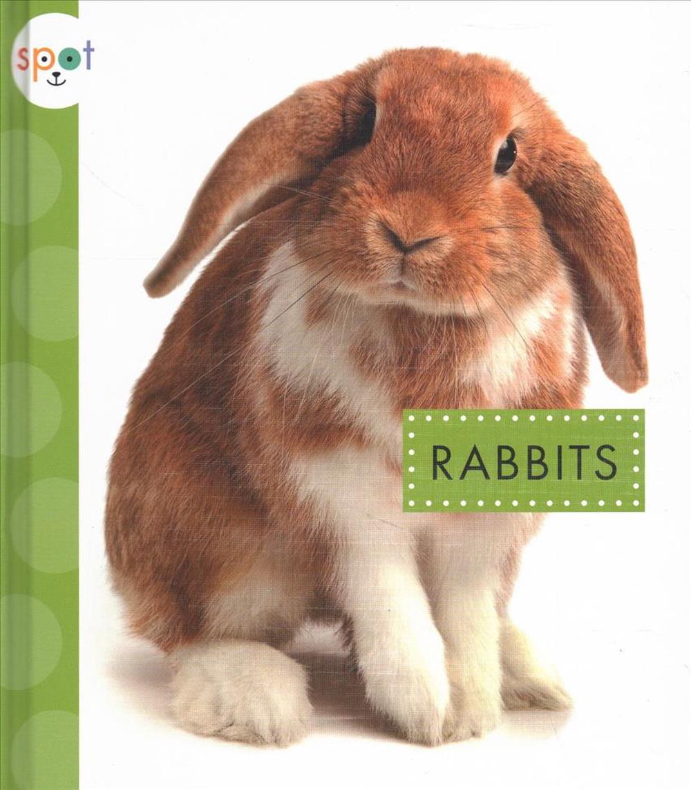 Rabbits, 9781681513706