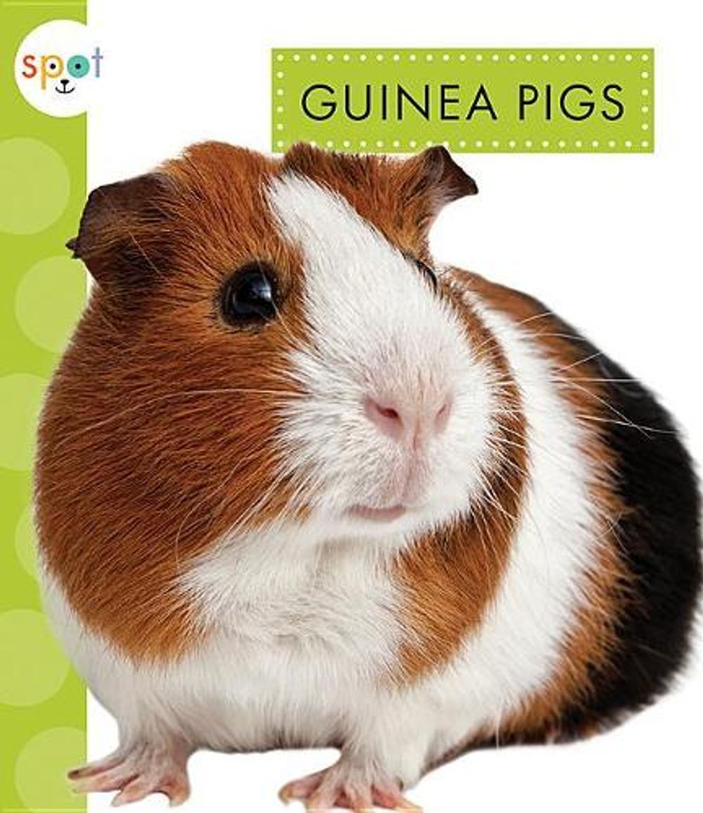 Guinea Pigs by Mari C. Schuh - ISBN: 9781681522883