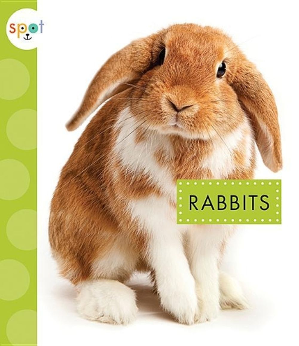 Rabbits by Mari C. Schuh - ISBN: 9781681522906