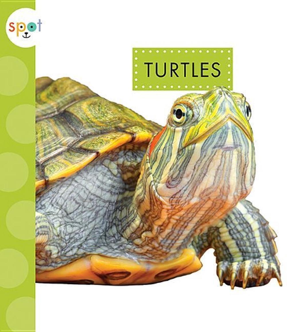Turtles, 9781681522913
