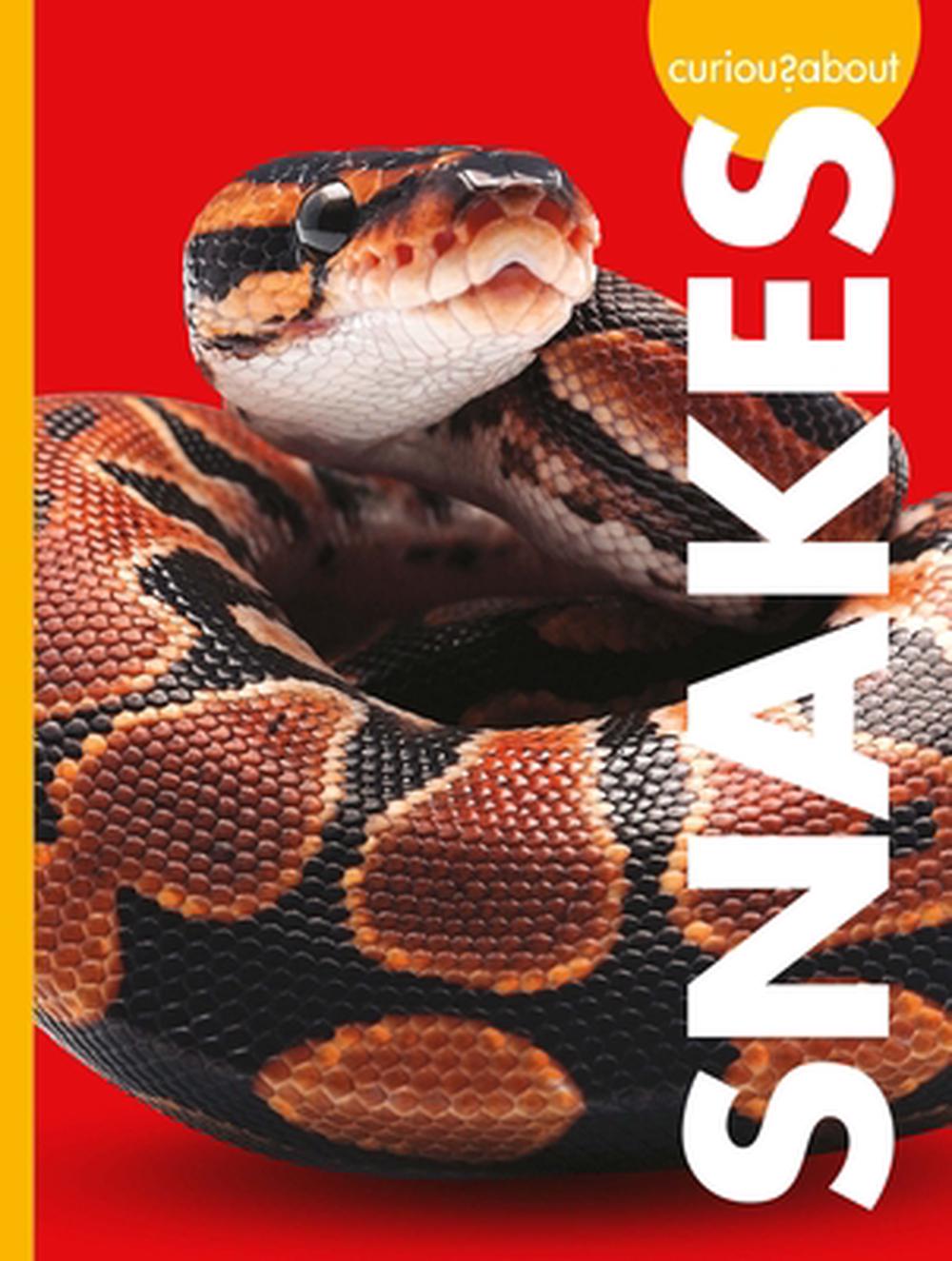Curious about Snakes, 9781681528342