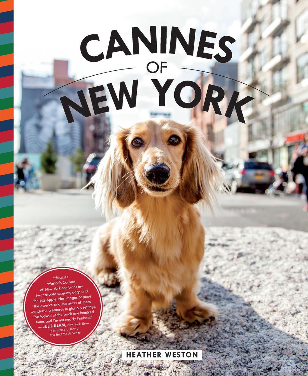 Canines of New York by Heather Weston - ISBN: 9781681883052