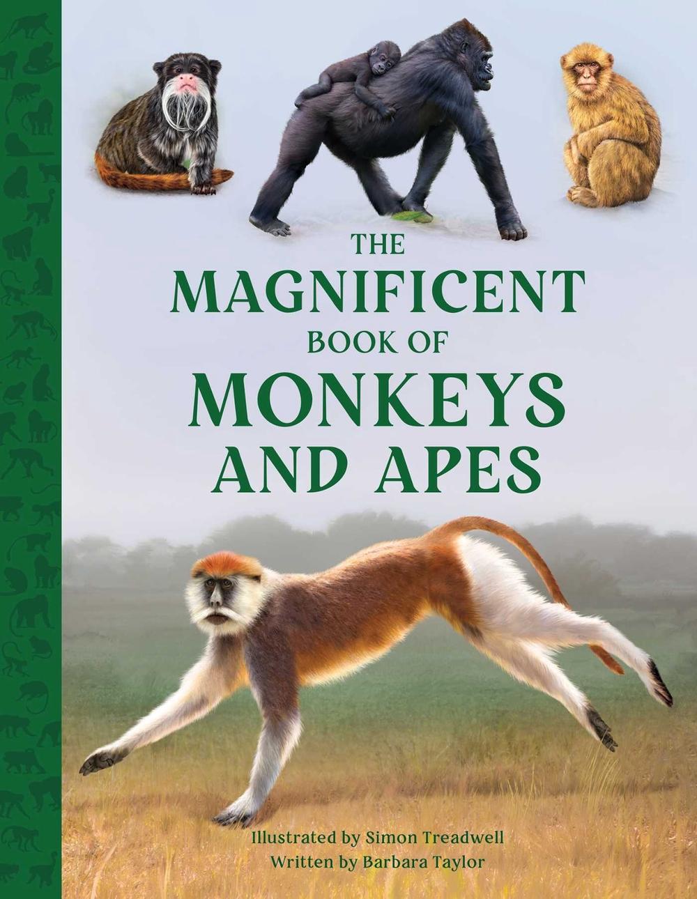 The Magnificent Book of Monkeys and Apes by Barbara Taylor - ISBN: 9781681888989