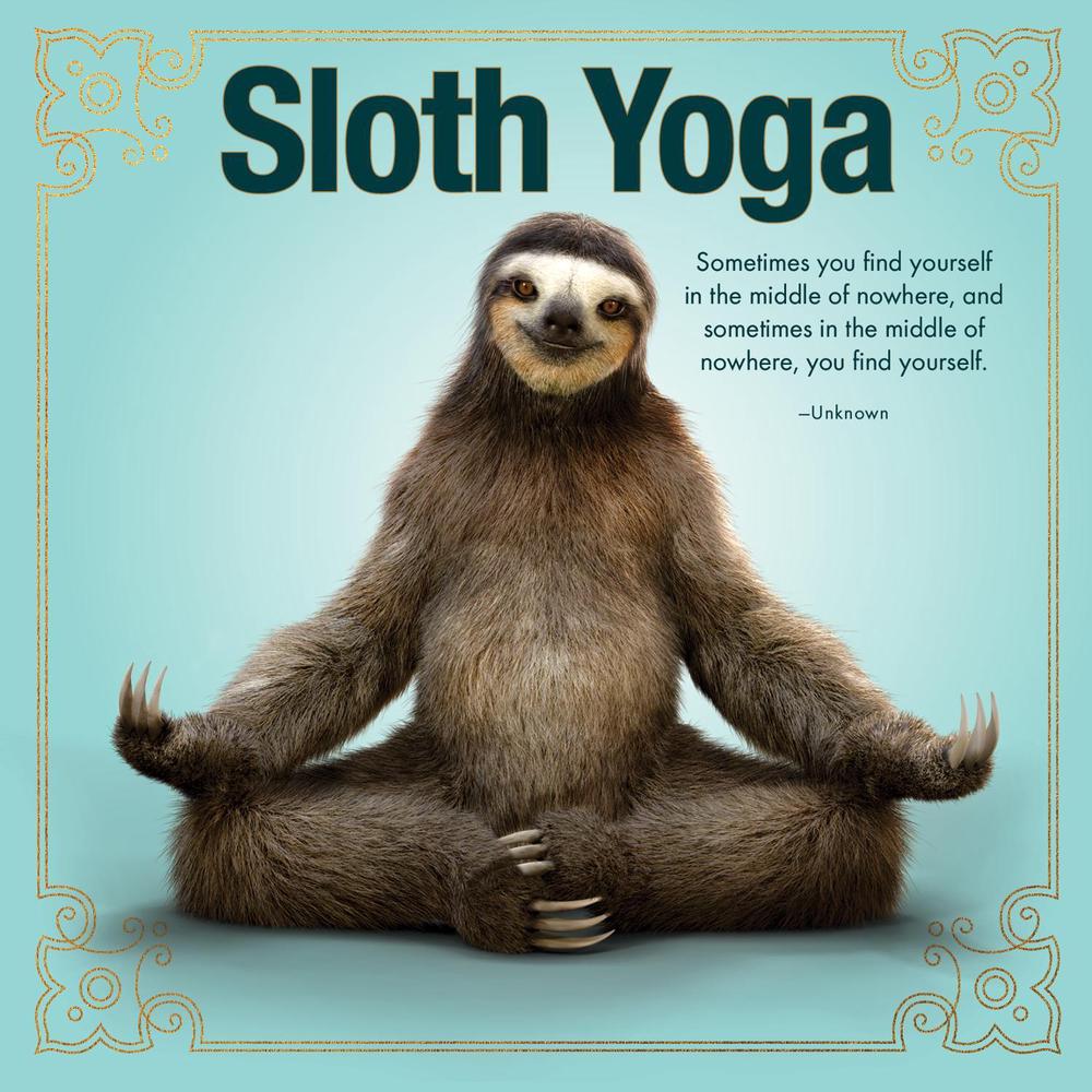 Sloth Yoga, 9781682348314
