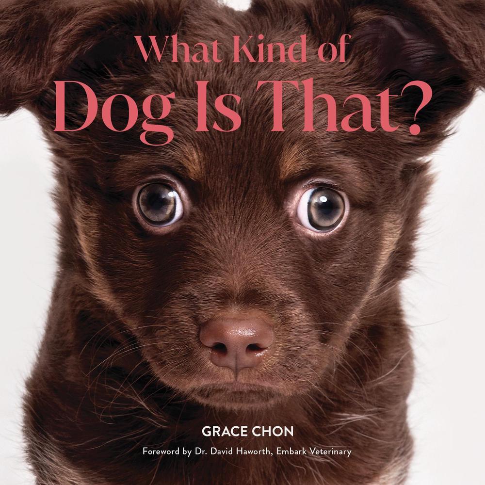 What Kind of Dog Is That?, 9781682689646