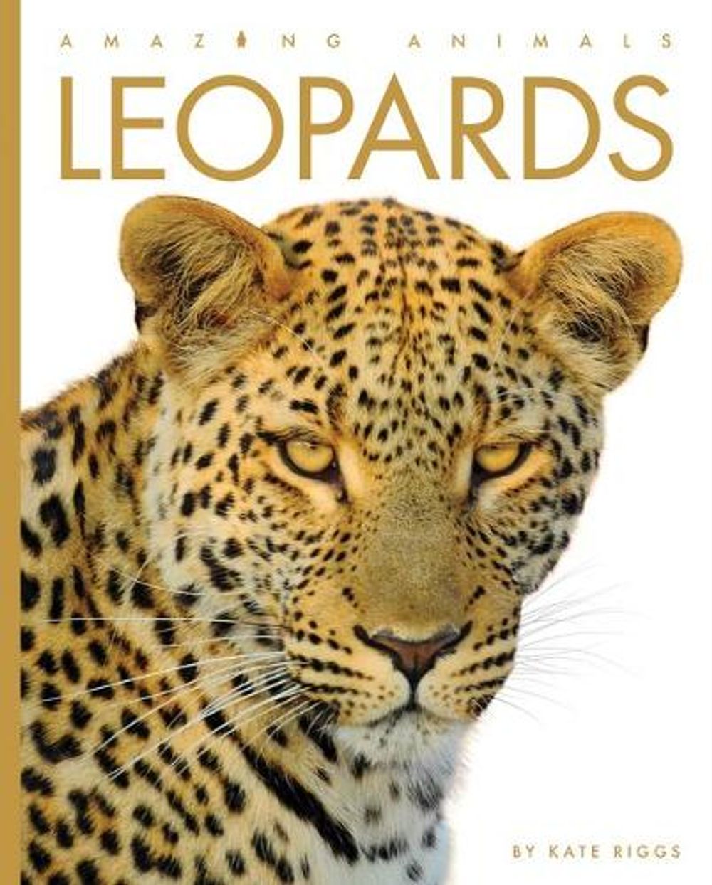 Leopards by Kate Riggs, Paperback, 9781682771020 | Buy online at The Nile