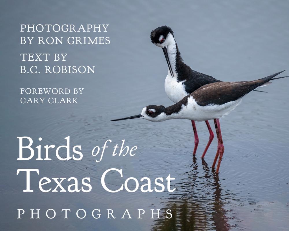 Birds of the Texas Coast, 9781682832349