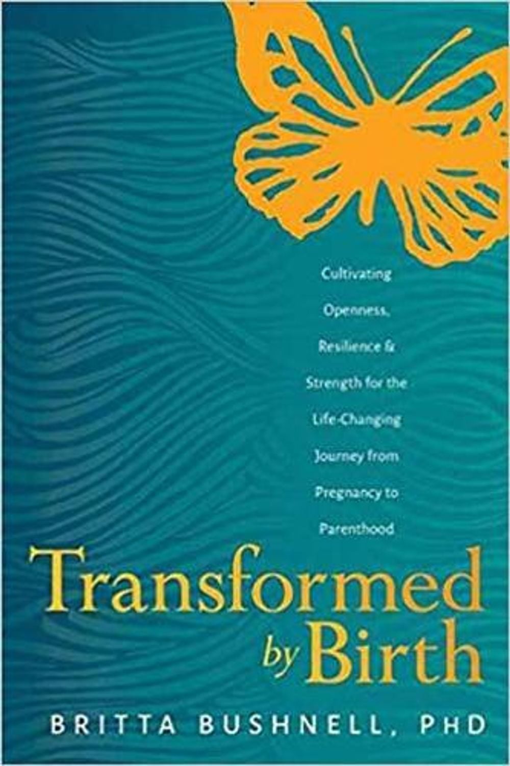 Transformed by Birth by Britta Bushnell - ISBN: 9781683644064
