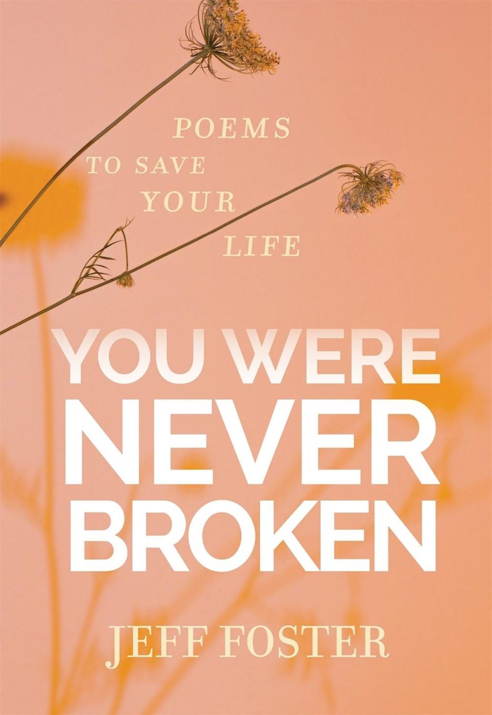 You Were Never Broken by Jeff Foster - ISBN: 9781683645597