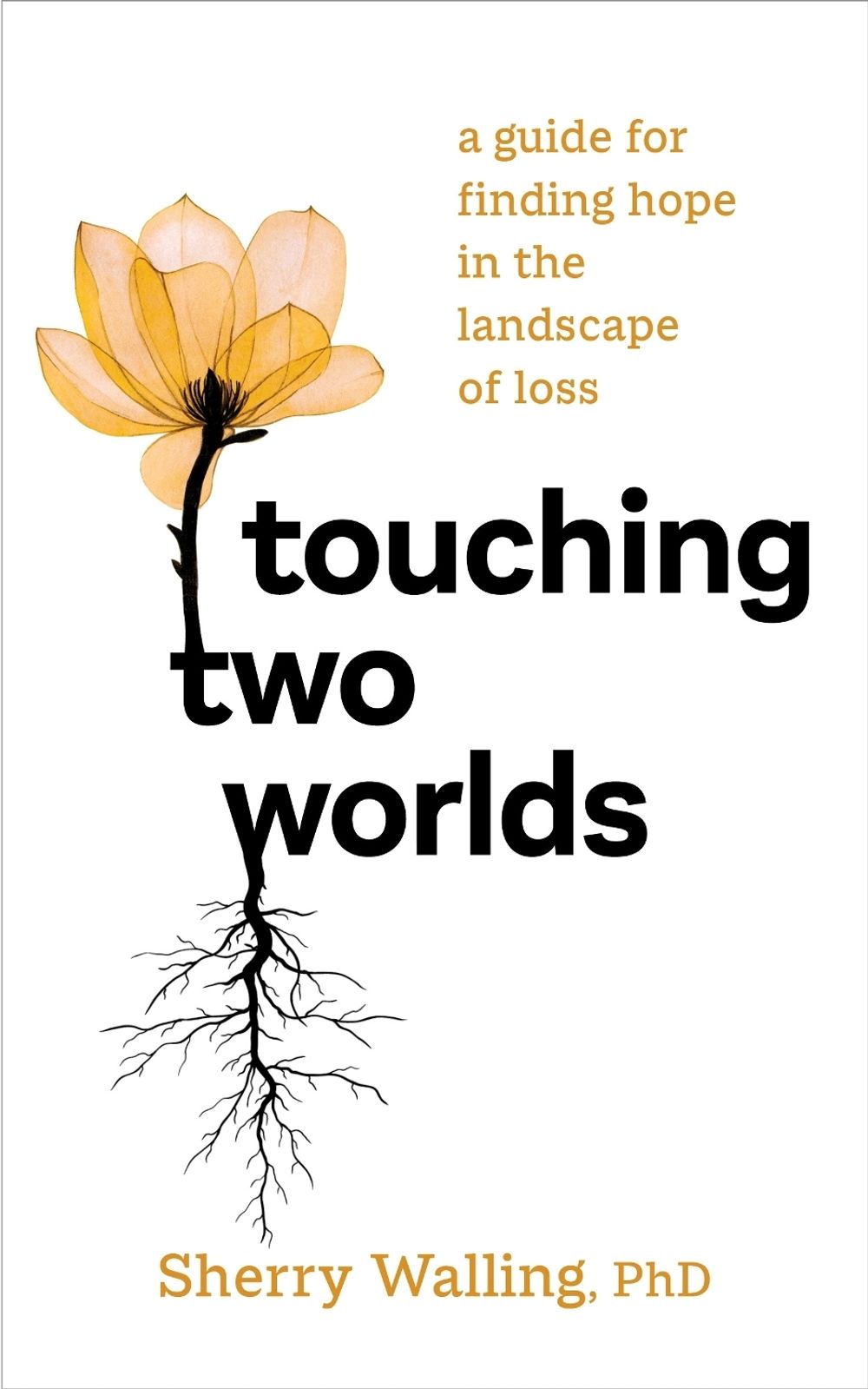 Touching Two Worlds by Sherry Walling - ISBN: 9781683649670