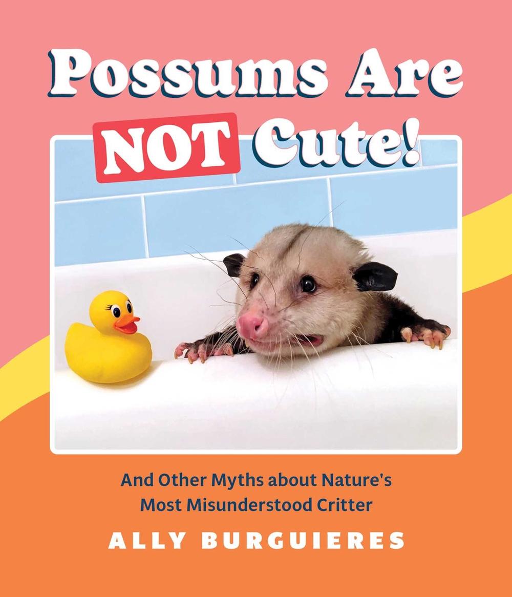 Possums Are Not Cute! by Ally Burguieres - ISBN: 9781683692997