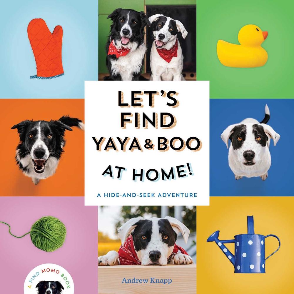 Let's Find Yaya and Boo at Home! by Andrew Knapp - ISBN: 9781683693666
