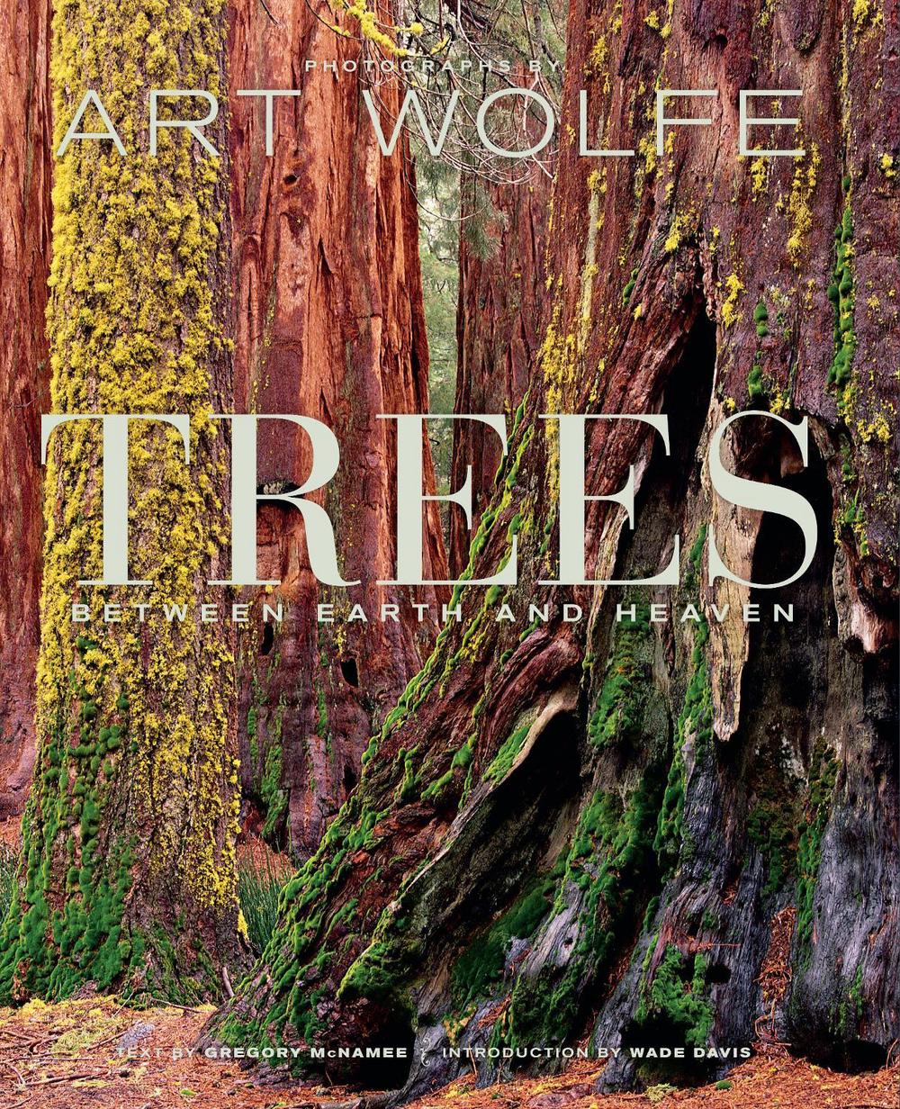Trees by Gregory McNamee - ISBN: 9781683830825