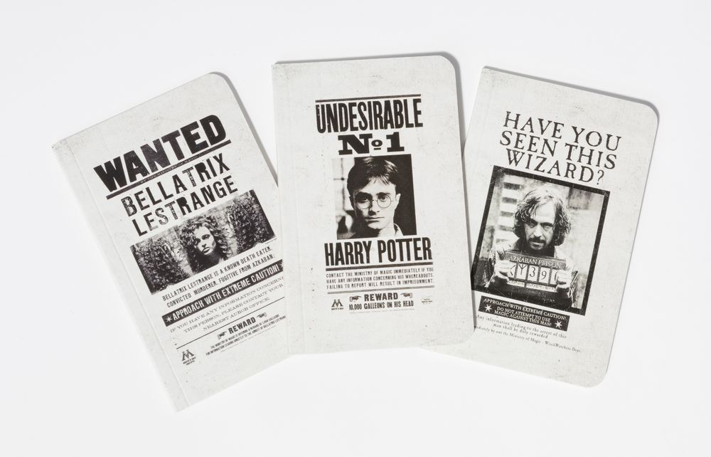 Insight Editions Harry Potter: Wanted Posters Pocket Journal Collection by Insight Editions - ISBN: 9781683833574