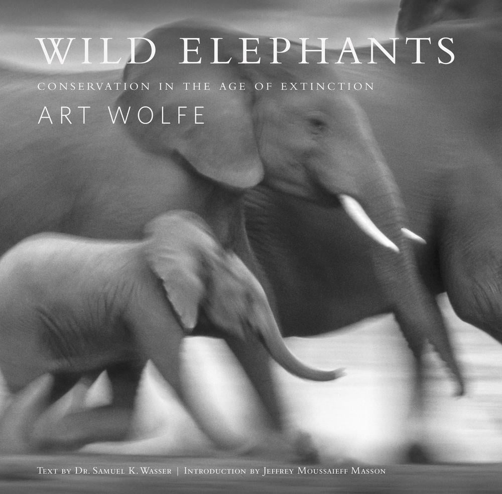 Wild Elephants by Samuel Wasser - ISBN: 9781683833826