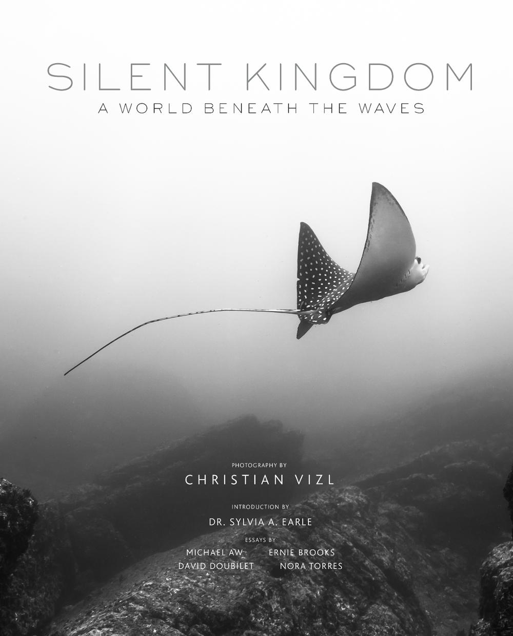 Silent Kingdom by Christian Vizl - ISBN: 9781683835844