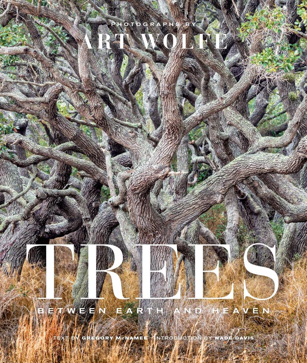 Trees by Art Wolfe - ISBN: 9781683839262