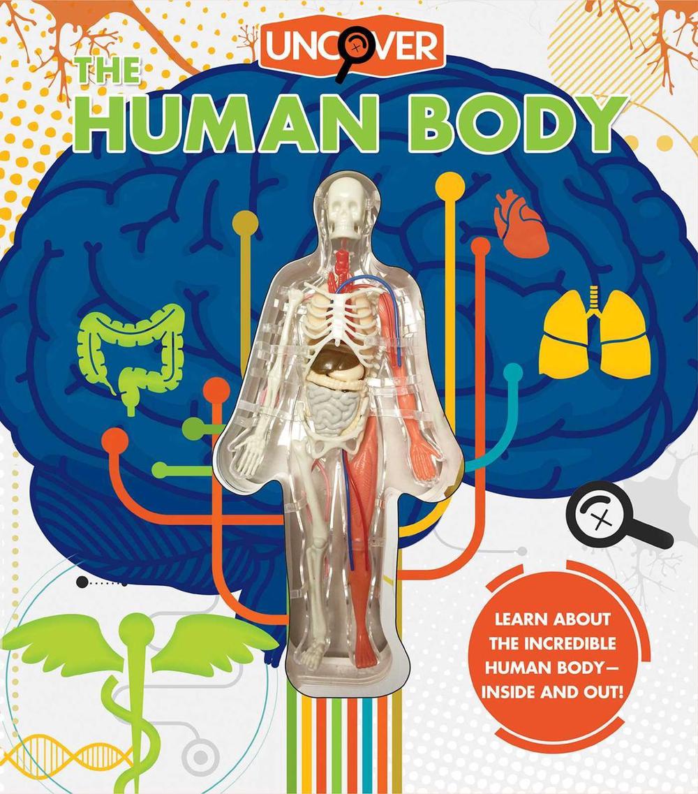 Uncover the Human Body by Luann Colombo - ISBN: 9781684125494